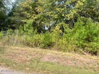 1663 MALLARD POINT RD, BATESVILLE, MS 38606 - Image 1