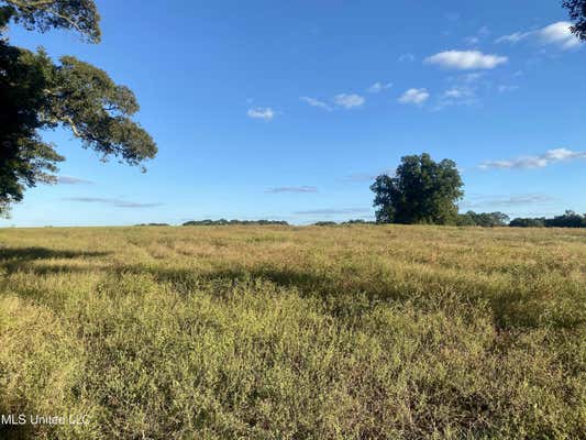 D SELLERS ROAD, WIGGINS MS 39577, WIGGINS, MS 39577, photo 3 of 5