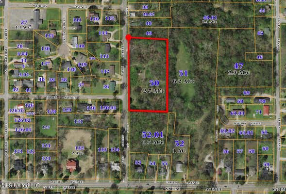 131 WEST STREET, HOLLY SPRINGS, MS 38635, photo 1 of 4