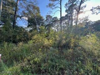 LOT 2877 PERSIMMON AVENUE, OCEAN SPRINGS, MS 39564 - Image 1