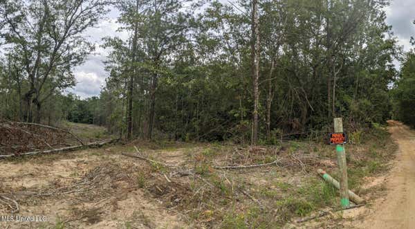 STANDARD CEMETERY ROAD, KILN MS 39556, KILN, MS 39556, photo 4 of 9