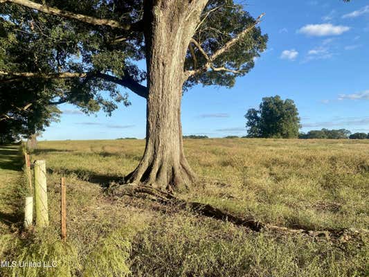 D SELLERS ROAD, WIGGINS MS 39577, WIGGINS, MS 39577, photo 2 of 5