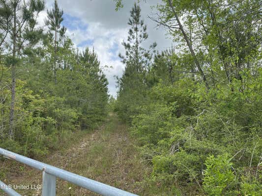 100 AC OFF SUNNY LANE, LUCEDALE, MS 39452 - Image 1