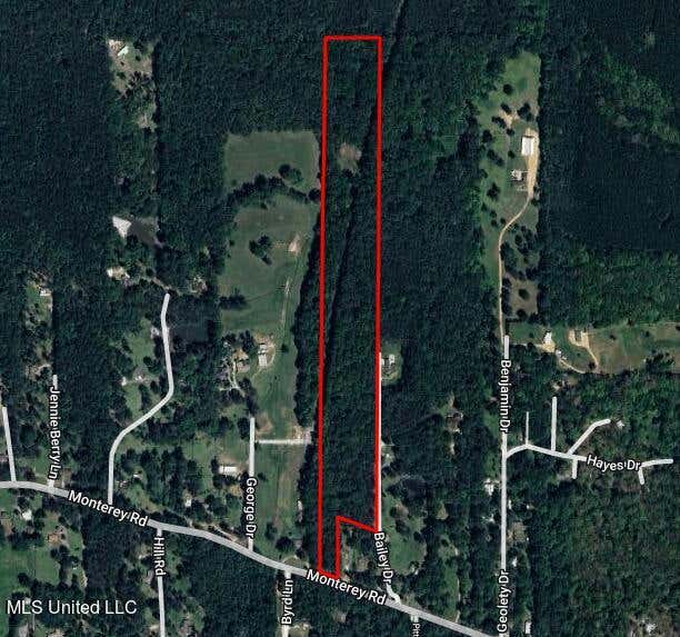 +-20 ACRES MONTEREY ROAD, PEARL, MS 39208, photo 1