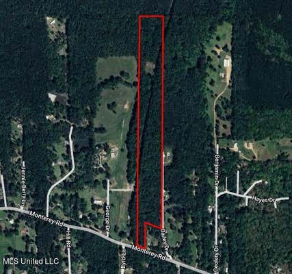 +-20 ACRES MONTEREY ROAD, PEARL, MS 39208 - Image 1