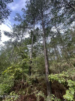 HWY 568, MAGNOLIA MS 39652, MAGNOLIA, MS 39652 - Image 1