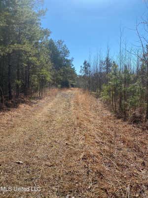 CO RD 700, RIPLEY, MS 38663, photo 1 of 4