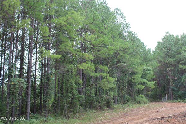 604 CR 442, OXFORD, MS 38655, photo 2 of 14