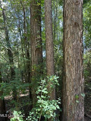 MCGOWAN ROAD, COLLINS MS 39428, COLLINS, MS 39428, photo 3 of 4