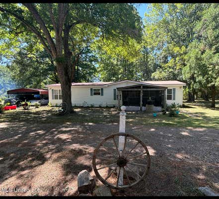 3169 ALVASTAGE RD, DUCK HILL, MS 38925 - Image 1