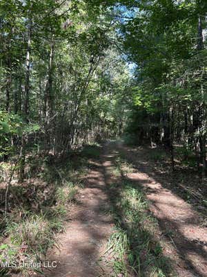 FIRETOWER ROAD ROAD, CAMDEN MS 39045, CAMDEN, MS 39045, photo 2 of 13