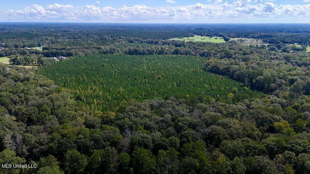 00 COUNTY LINE ROAD, SUMMIT, MS 39666, photo 1 of 21