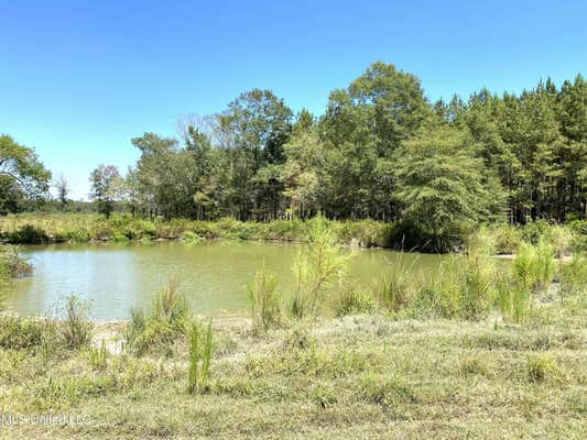 787 HIGHWAY 487 E, CARTHAGE, MS 39051 - Image 1