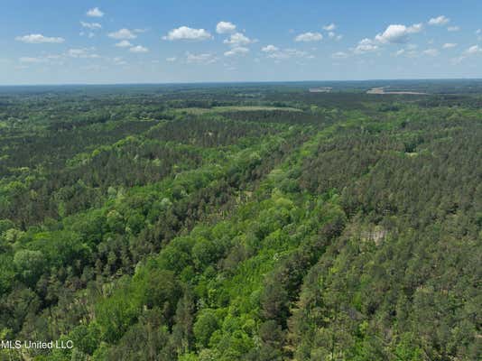 CR 409, RIENZI MS 38865, RIENZI, MS 38865, photo 1 of 43