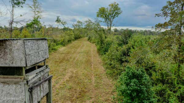 RED DOG RD, CARTHAGE MS 39051, CARTHAGE, MS 39051 - Image 1