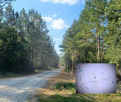 0000 W FIRETOWER ROAD, KILN, MS 39556 - Image 1