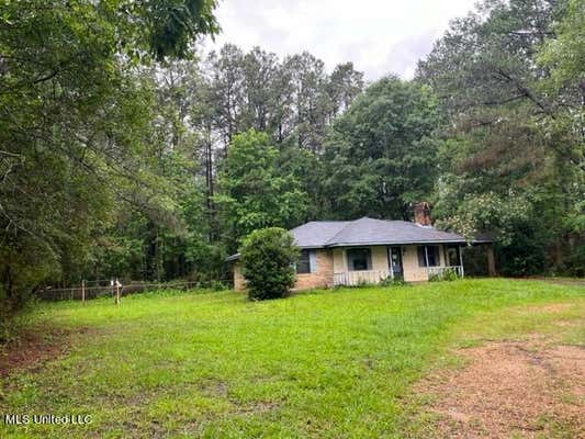 233 SUTTON RD, NEWHEBRON, MS 39140 - Image 1