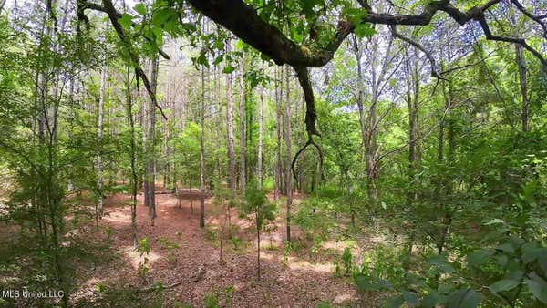 SCALLIONS ROAD, CASCILLA MS 38920, CASCILLA, MS 38920 - Image 1