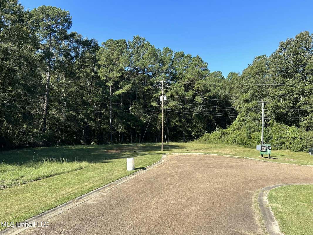 MCGOWAN ROAD, COLLINS MS 39428, COLLINS, MS 39428, photo 1 of 4