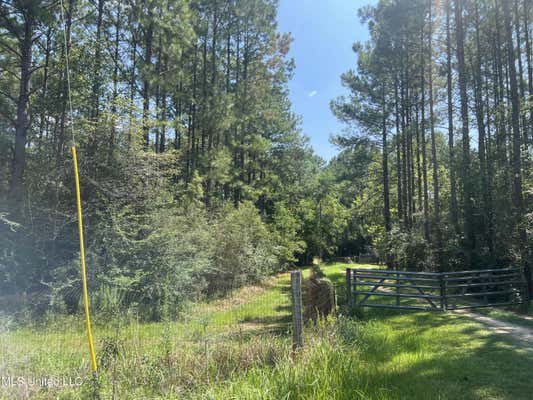 NHN OLD BILOXI RD, OCEAN SPRINGS MS 39565, OCEAN SPRINGS, MS 39565, photo 3 of 33