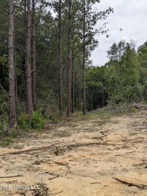 STANDARD CEMETERY ROAD, KILN MS 39556, KILN, MS 39556, photo 3 of 9