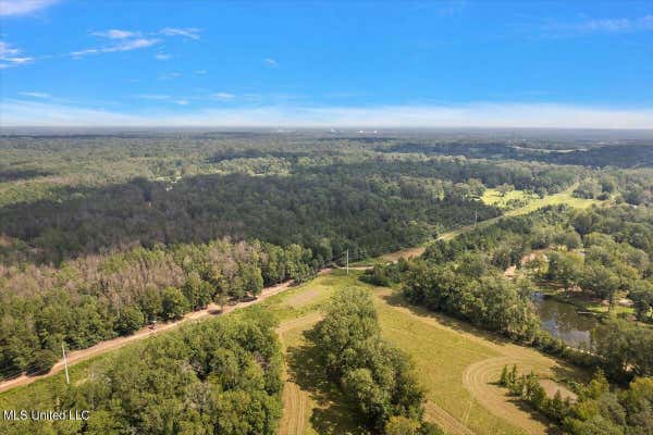 0 TERRY ROAD, TERRY, MS 39170 - Image 1