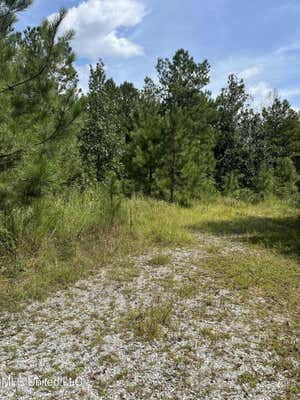 2126 SALEM CAMPGROUND RD, LUCEDALE, MS 39452 - Image 1