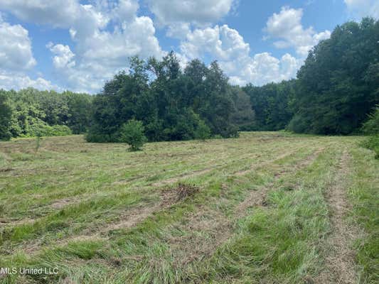 HIGHWAY 483, LENA MS 39094, LENA, MS 39094 - Image 1