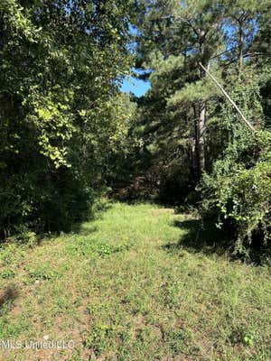 MCGOWAN ROAD, COLLINS MS 39428, COLLINS, MS 39428, photo 2 of 4