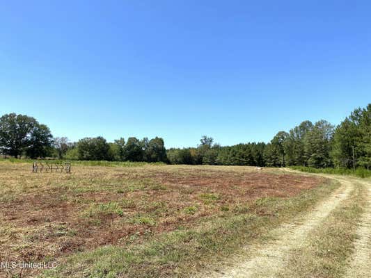 787 HIGHWAY 487 E, CARTHAGE, MS 39051 - Image 1