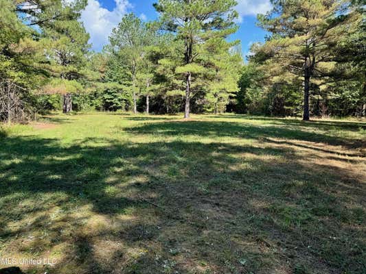 TBD CO RD 300, BIG CREEK, MS 38914 - Image 1