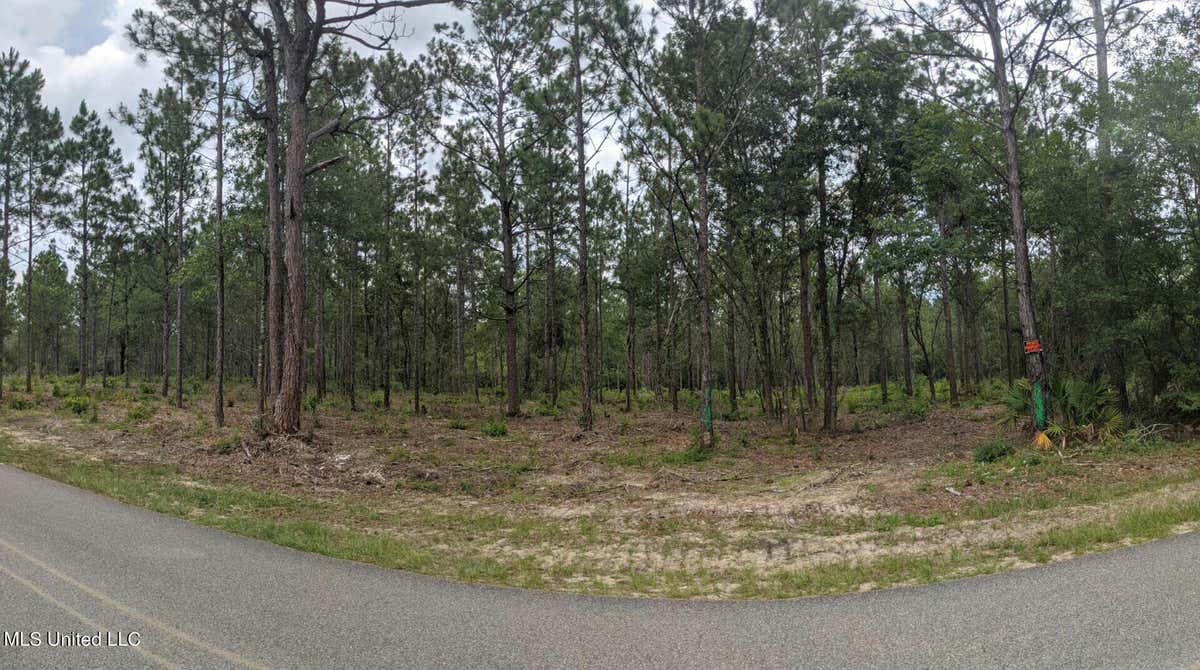 STANDARD CEMETERY ROAD, KILN MS 39556, KILN, MS 39556, photo 1 of 9