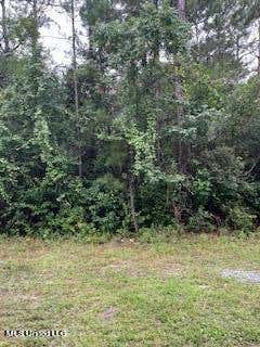 PINE, LOT 253 STREET, OCEAN SPRINGS MS 39564, OCEAN SPRINGS, MS 39564, photo 3 of 3