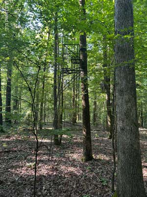 AVANT RD, CRENSHAW, MS 38621, photo 1 of 40