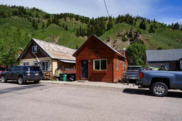 166 MONUMENT ST, RED CLIFF, CO 81649 - Image 1