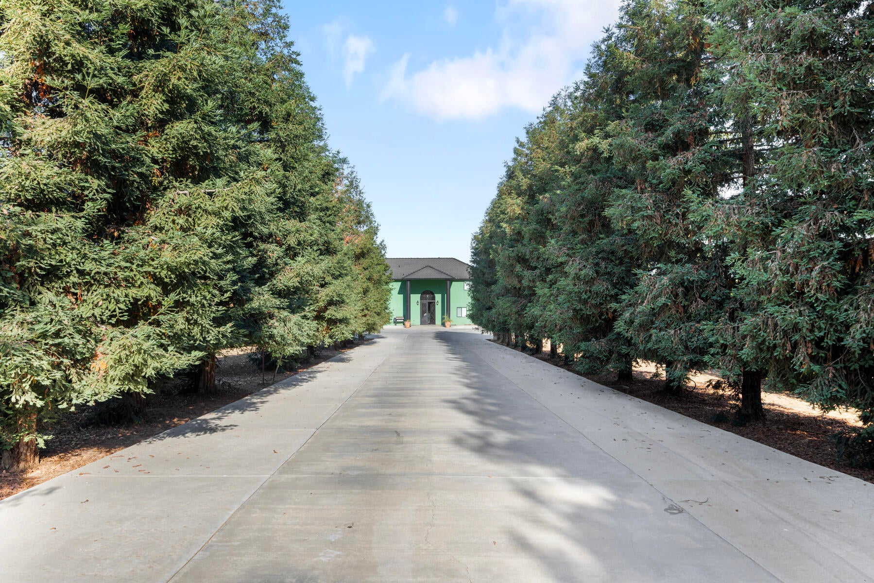 Strathmore, California, 93267, United States, 5 Bedrooms Bedrooms, ,4 BathroomsBathrooms,Residential,Active,1909877