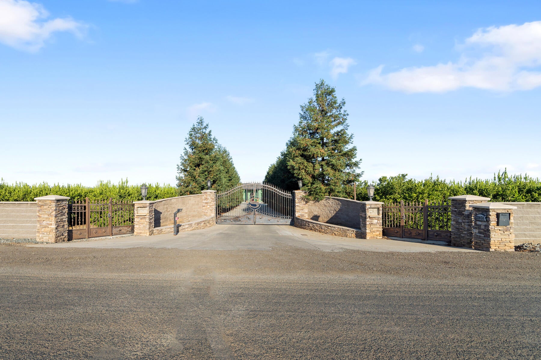 Strathmore, California, 93267, United States, 5 Bedrooms Bedrooms, ,4 BathroomsBathrooms,Residential,Active,1909877