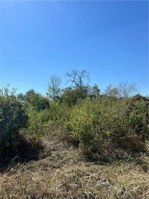 TBD S SEELEY AVENUE, MOUNT CALM, TX 76673 - Image 1