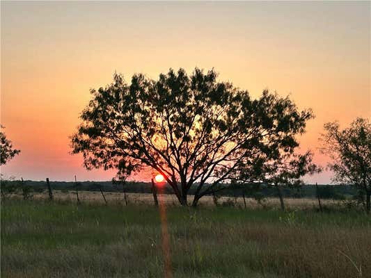 TBD LCR 300 ROAD, MART, TX 76664 - Image 1