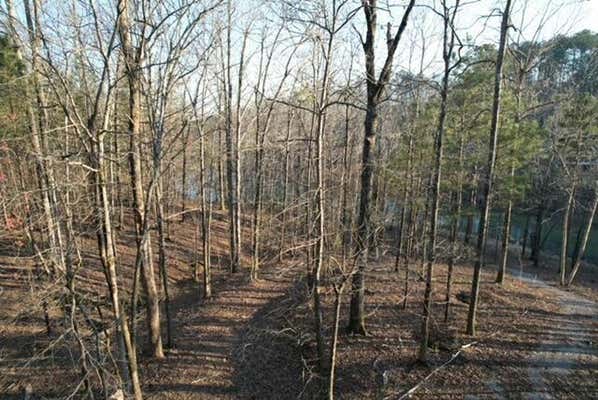 LOT 57 SHORESIDE AT SIPSEY, DOUBLE SPRINGS, AL 35553 - Image 1