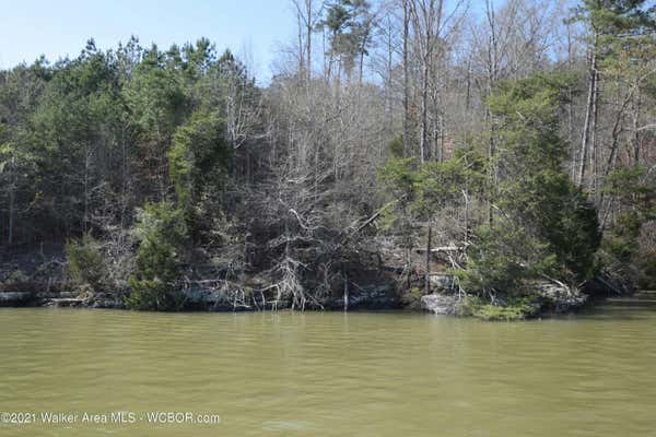 LOT 36 EDGEWATER ESTATES, CRANE HILL, AL 35053, photo 2 of 4