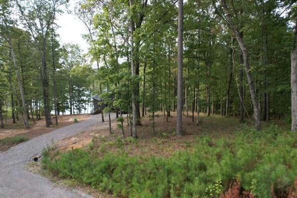 LOT 13 SHORESIDE AT SIPSEY, DOUBLE SPRINGS, AL 35553 - Image 1