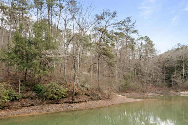 LOT 40 SIPSEY OVERLOOK, DOUBLE SPRINGS, AL 35553 - Image 1