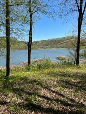 0 FRANKLIN BND RD, PARRISH, AL 35580 - Image 1