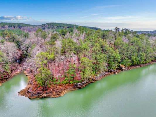 LOT 60 & 61 SIPSEY OVERLOOK DR, DOUBLE SPRINGS, AL 35553 - Image 1