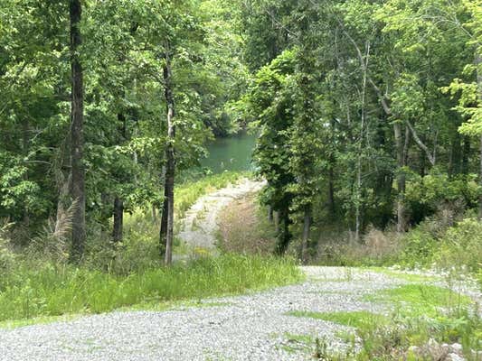 LOT # 28 BRUSHY CREEK MAIN RD, ARLEY, AL 35541 - Image 1