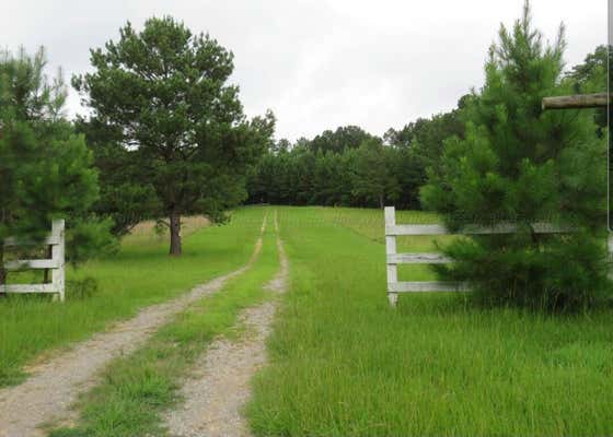 LOT #10 BANKHEAD RD, QUINTON, AL 35130 - Image 1