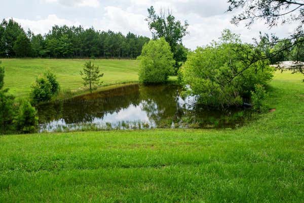 COUNTY ROAD 4201, CRANE HILL, AL 35053 - Image 1