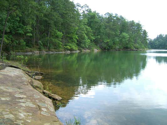 BIG BEAR BRANCH ROAD, DOUBLE SPRINGS, AL 35553 - Image 1