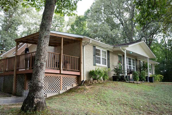 2069 COUNTY ROAD 88, WINFIELD, AL 35594 - Image 1